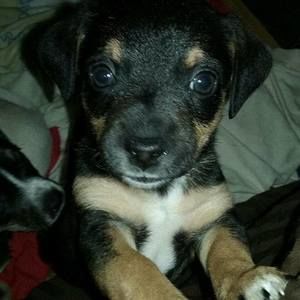 Meet your Posher, Jacob